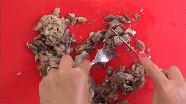 Путешествия Вокруг Света