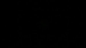 [Криминальная Россия] ТТ для киллера