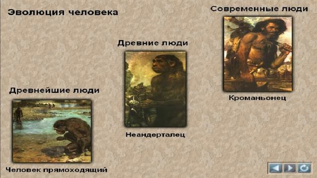 Эволюция человека классификация смотреть онлайн