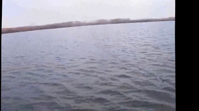 Ловля щуки в декабре по открытой воде смотреть онлайн