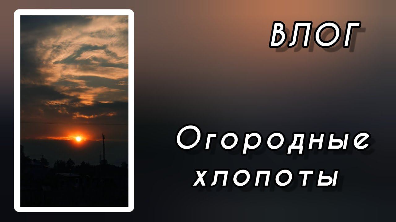ВЛОГ. Огородные хлопоты. 6-9 июня