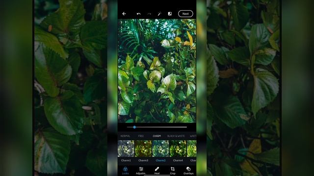 Master Photo Editing with Photoshop Express | Edit photos like a pro with Photoshop Express | EP:4 смотреть онлайн