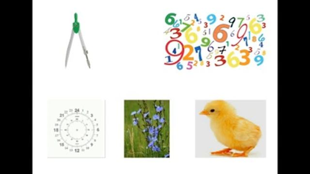 Твёрдые непарные звуки ж, ш, ц смотреть онлайн