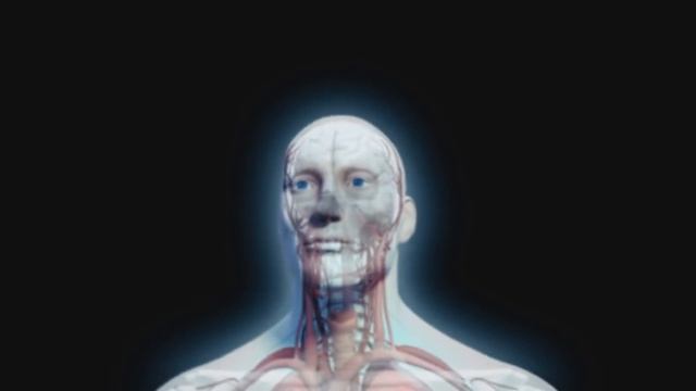 The AMAZING POWER of Your MIND + The 3 Mental KEYS to MANIFESTING WHAT YOU WANT! (Law of Attraction смотреть онлайн