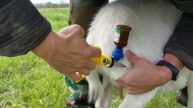 Ветеринарный  шприц пистолет. Обзор