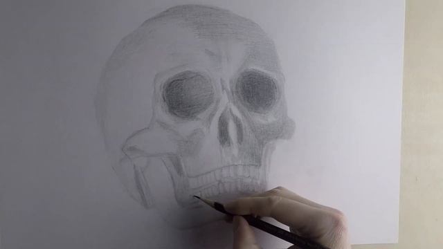 Рисунок черепа смотреть онлайн