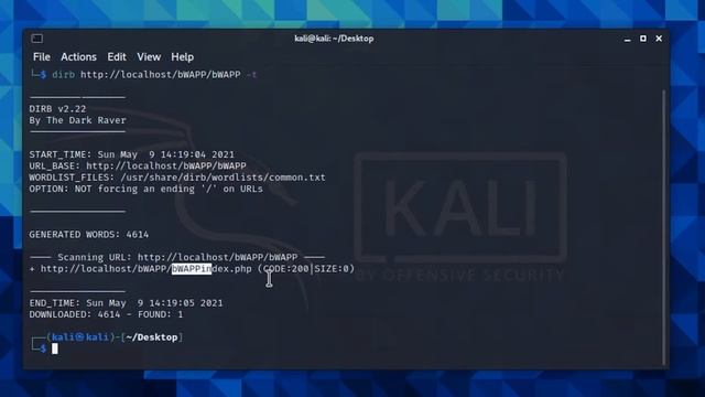 Discover Hidden Web Pages and Web Directories! Comprehensive Guide to Dirb Tool смотреть онлайн