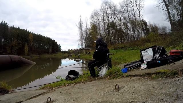 Осенний карп на Херабуна. Насадки, тактика, результаты смотреть онлайн