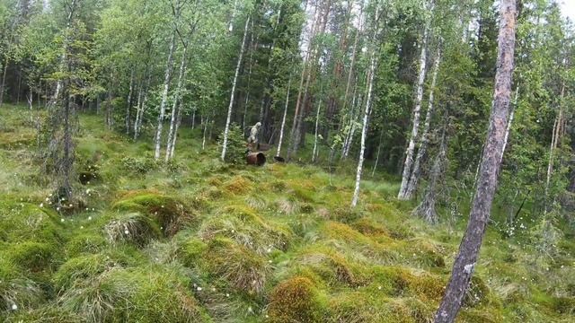 Насадка болгарка на бензопилу Штиль! Металокоп!) смотреть онлайн