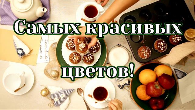 С искренними пожеланиями на День Рождения!!! смотреть онлайн