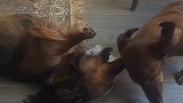 Добрее Таксы зверя нет смотреть онлайн