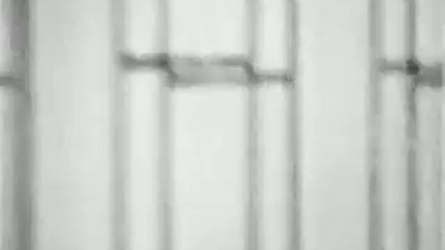 Сонный слоник(про зиму) смотреть онлайн