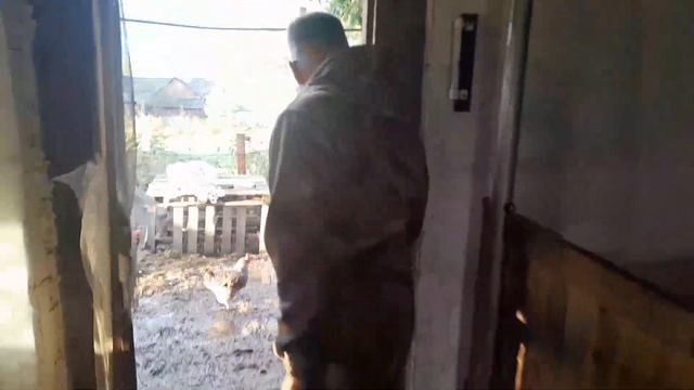 Пришла повестка, шнуруй берцы!!! смотреть онлайн