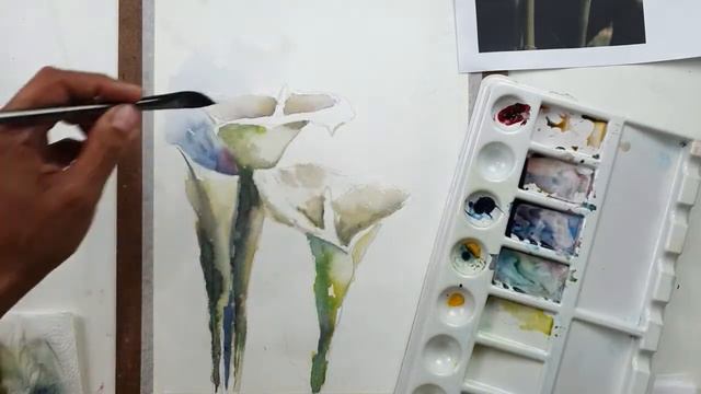Como pintar uma flor copo de leite em aquarela. смотреть онлайн