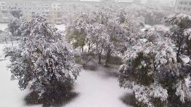 26/09/2021 Кемерово, первый снег смотреть онлайн