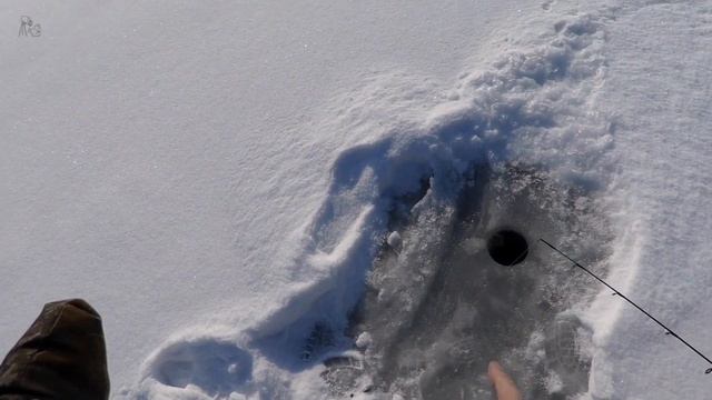 Ловля на Дону весной летом и зимой. Щучки на перекате ? Рыбалка Красивая Меча - Быстрая Сосна 4 смотреть онлайн