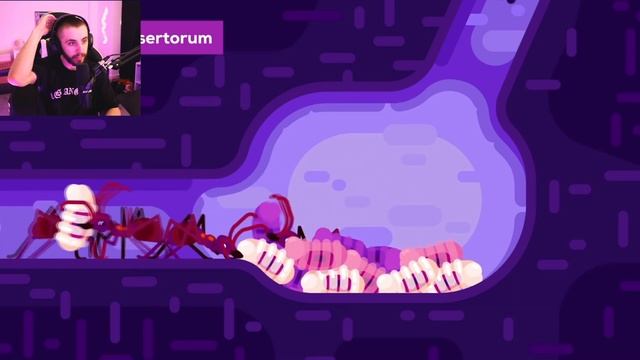 The World War of the Ants – The Army Ant - Kurzgesagt Reaction смотреть онлайн