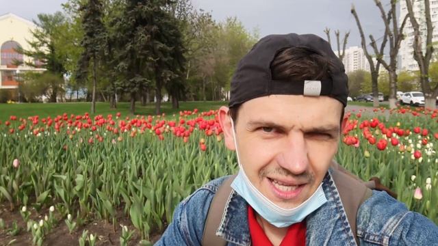ГОРОДСКИЕ ЦВЕТЫ! КРАСИВАЯ КЛУМБА С ТЮЛЬПАНАМИ! смотреть онлайн