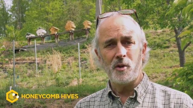 Beekeeping Reimagined Honeycomb Hives Fold Hives смотреть онлайн