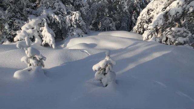 Winter wonderland смотреть онлайн