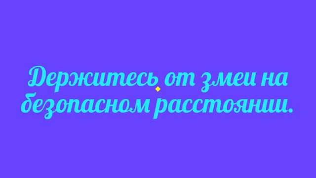 Как избавиться от змеи в жилом доме смотреть онлайн