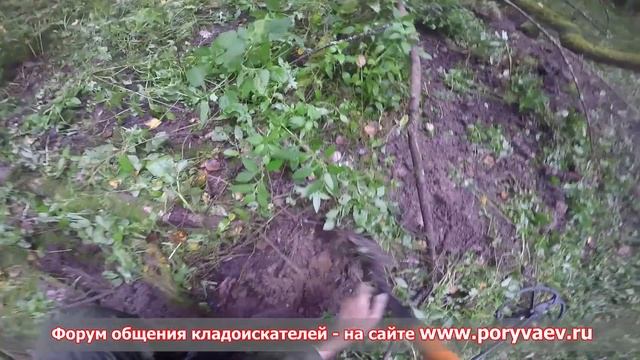 Копаем клад чешуи ( тяжелый труд кладоискателя ) смотреть онлайн