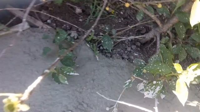 Прием бетона. Опалубка, полы, дорожка