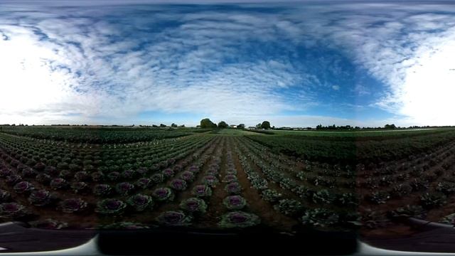 PW Group - Hubberts Bridge Trial Field (360 Demo) смотреть онлайн