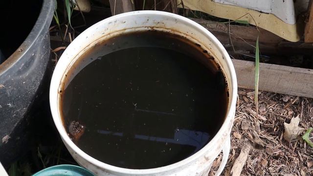 #How to Make Compost Tea | #Compost tea recipe | #free liquid fertilizer | #homemade fertilizer смотреть онлайн
