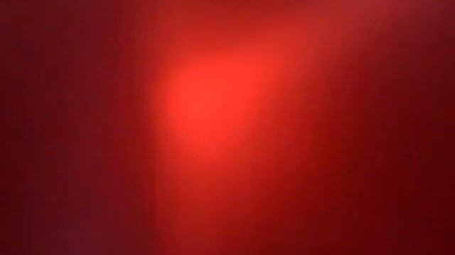 Мурчик и Рыжик мои 2-х месячные котята смотреть онлайн