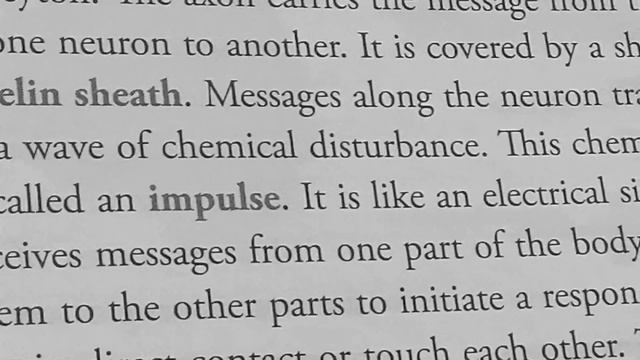 Class 7 Biology, Ch.8 ( Nervous system) pg-89-90 discussed. смотреть онлайн
