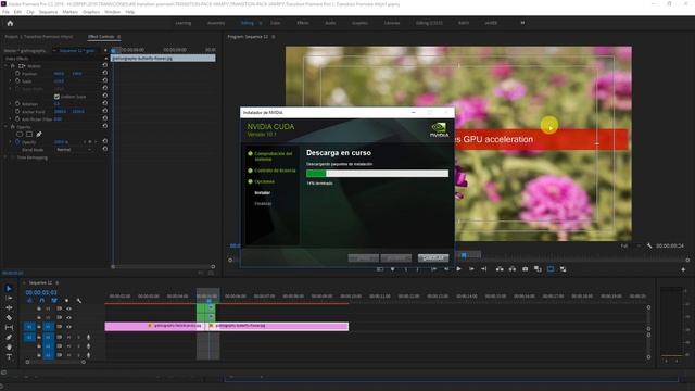 this effect requires GPU acceleration PREMIERE CC 2019 смотреть онлайн
