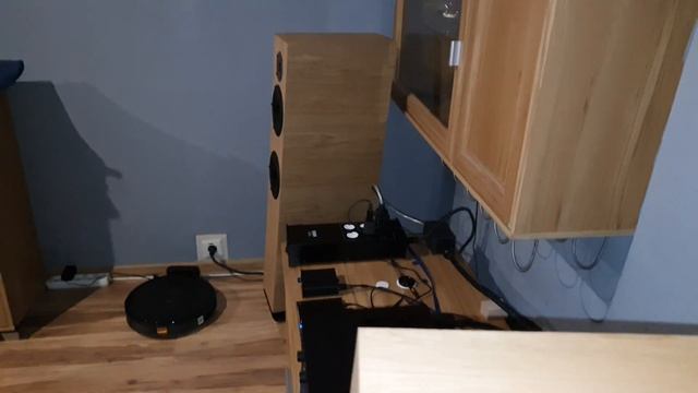 Pylon Diamond 28 -My new speakers Oil wax Pure смотреть онлайн