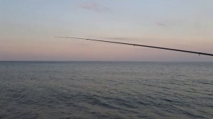 Ловим кефаль с берега на черном море.