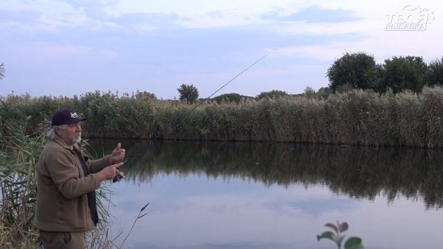 Сказ о том как новый Blue bird окуней из травы выдергивал. Обзор Favorite Blue Bird BB1-682SUL-S. смотреть онлайн