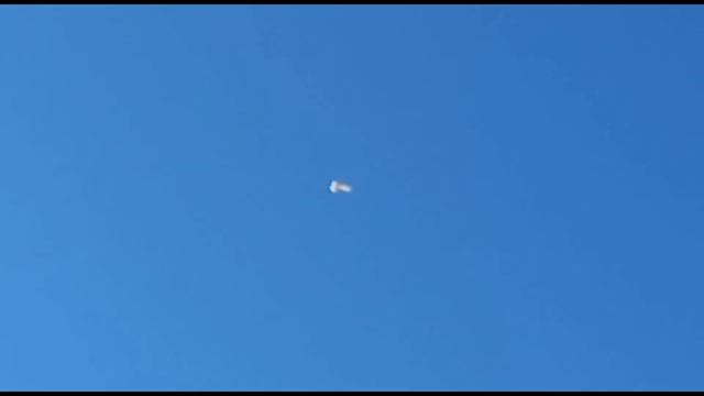 Современные бойные голуби лёт и игра. Двухчубые голуби. Tauben. Pigeons. Palomas. Pombos. کبوترها