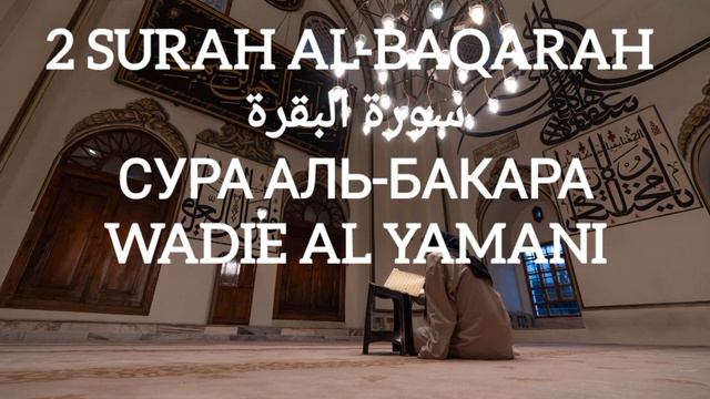 Surah Al Bakara سورة البقرة Сура аль Бакара. Сура от порчи и сглаза! Очищение дома.Wadie al Yamani смотреть онлайн