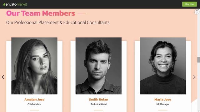 Agni Business Consulting ★ WordPress Themes & Templates ★ смотреть онлайн