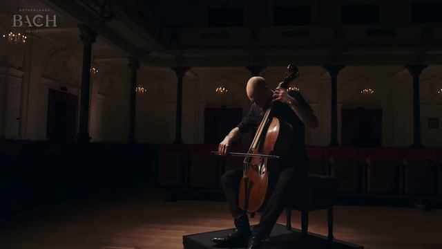 Bach - Cello Suite no. 2 in D minor BWV 1008 - Pincombe | Netherlands Bach Society смотреть онлайн