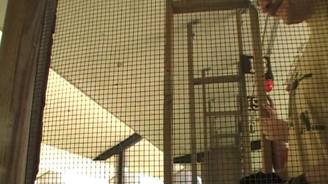 BERRETTA PX 4 STORM 45 AUTO смотреть онлайн