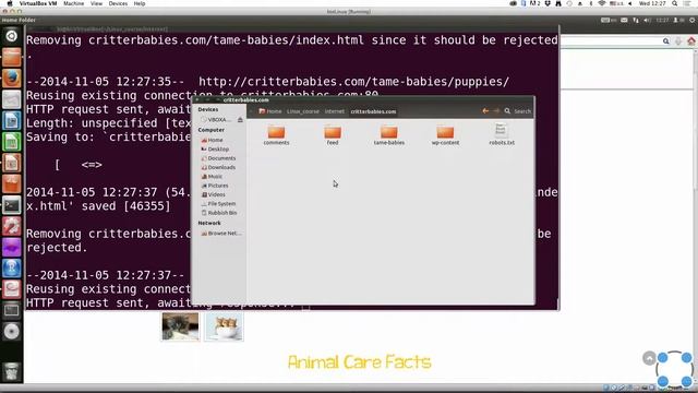 Инструкции Linux - #23 урок. Cкачивание файлов из интернета.Wget смотреть онлайн