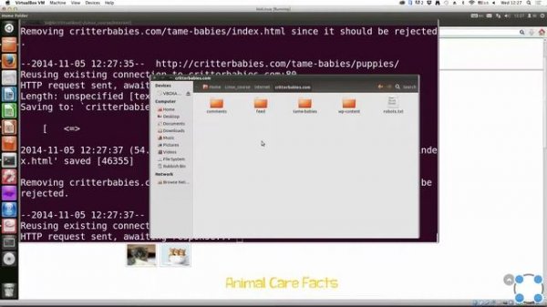 Инструкции Linux - #23 урок. Cкачивание файлов из интернета.Wget