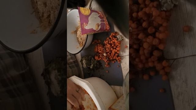 Сода в корм курам . Как правильно давать? Моя куриная общага. смотреть онлайн