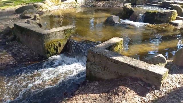 ОТКРЫВАЮ СЕЗОН ПУТЕШЕСТВИЙ!ПАРК ДРОЗДЫ!ЧАСТЬ 1! I'M OPENING THE TRAVEL SEASON! DROZDY PARK! PART 1! смотреть онлайн