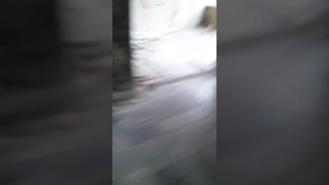 г.Кисловодск заброшенный бассейн смотреть онлайн