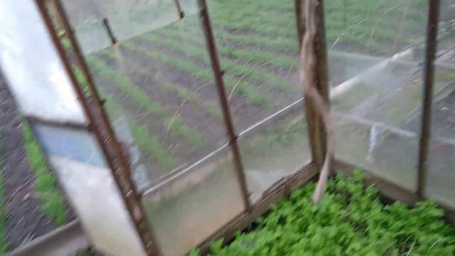 Железная теплица под стекло. Теплица из стекла и металлического уголка. Как крепить стекло на метал смотреть онлайн