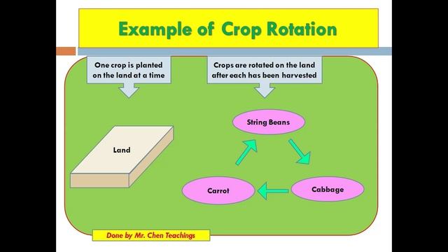 (Grade 10)What is Agricultural science? History of Agri., Conventional vs Non conventional Farming смотреть онлайн