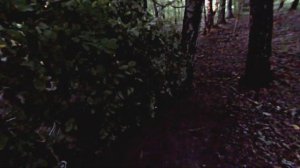 ШАЛАШ в ЛЕСУ - как построить УБЕЖИЩЕ?