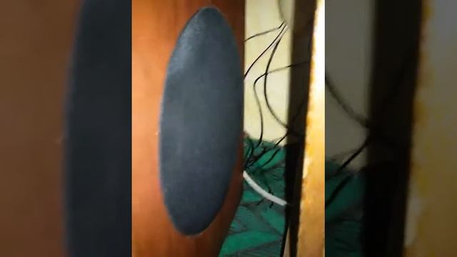 Genius 5.1 6000 super kalonkadi qaqawlar смотреть онлайн