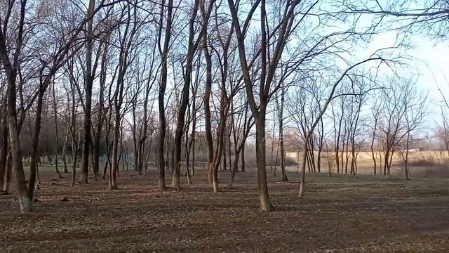 Надо поправляться, набирать вес .Я в городе,мама трудится. смотреть онлайн